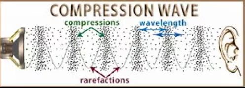 Codons